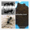 Changbaishan Wild Ant powder Best price for you